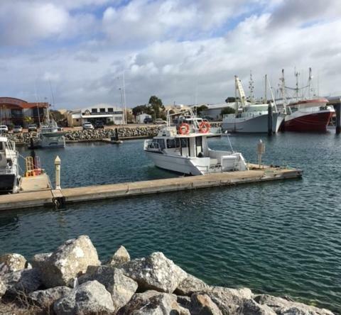 Port Lincoln Shark Apartment 1 מראה חיצוני תמונה